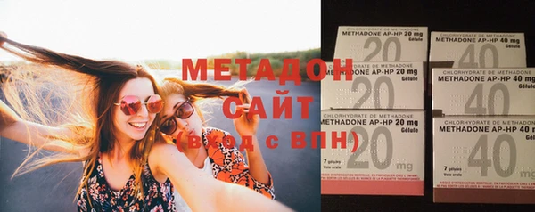 индика Бородино