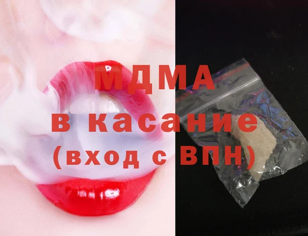 индика Бородино