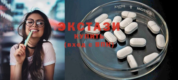 индика Бородино