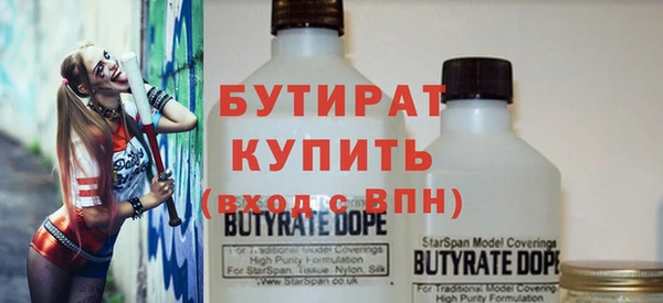 индика Бородино