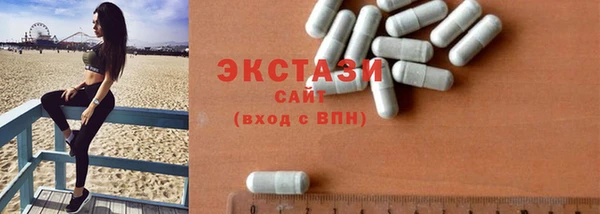 индика Бородино