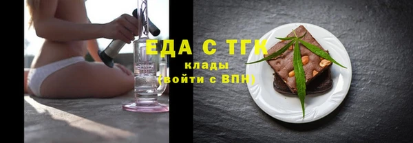 индика Бородино