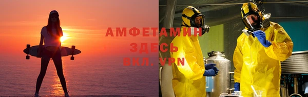 индика Бородино