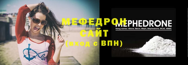 индика Бородино