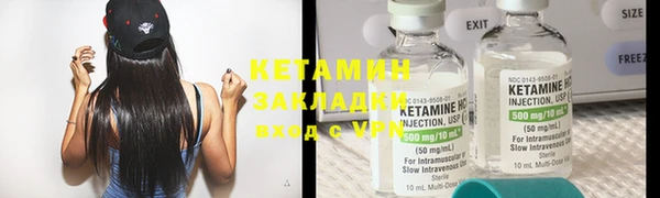 индика Бородино