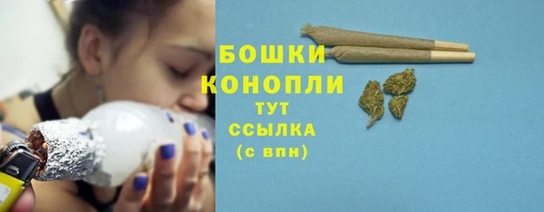индика Бородино