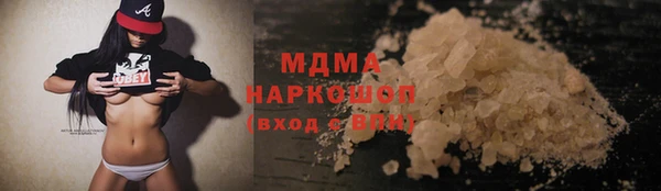 индика Бородино