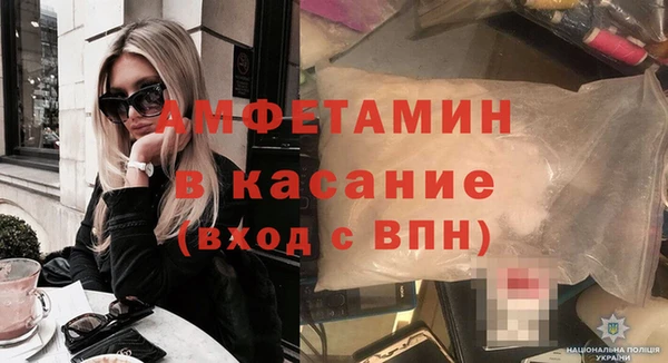 индика Бородино