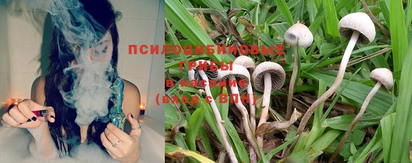 бутират Бугульма