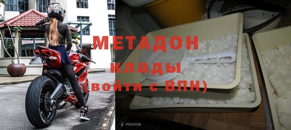индика Бородино