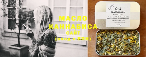 индика Бородино