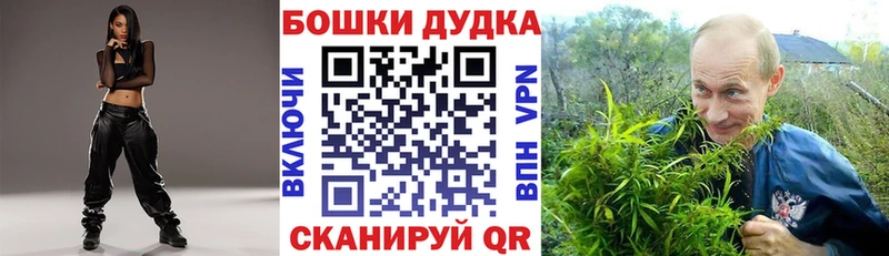 хочу наркоту  Кирсанов  Каннабис план 